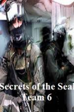 Watch Discovery Channel Secrets of Seal Team 6 Zmovies
