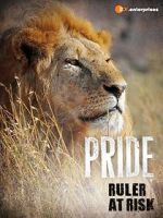 Watch Pride - Ruler\'s at Risk Zmovies