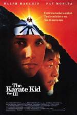 Watch The Karate Kid, Part III Zmovies