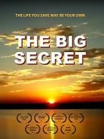 Watch The Big Secret Zmovies