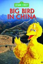 Watch Big Bird in China Zmovies