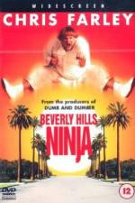 Watch Beverly Hills Ninja Zmovies