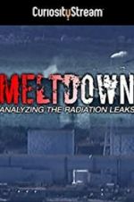 Watch Meltdown: Analyzing the Radiation Leaks Zmovies