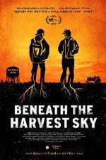 Watch Beneath the Harvest Sky Zmovies