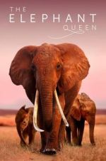 Watch The Elephant Queen Zmovies