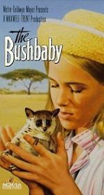Watch The Bushbaby Zmovies