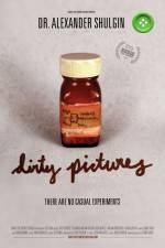 Watch Dirty Pictures Zmovies