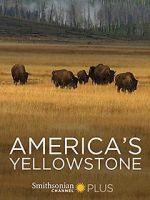 Watch America\'s Yellowstone Zmovies