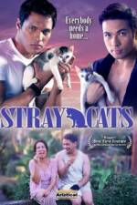 Watch Stray Cats Zmovies