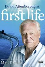 Watch First Life Zmovies