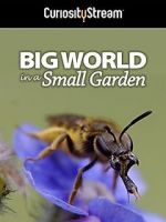 Watch Big World in a Small Garden (TV Short 2016) Zmovies