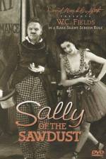 Watch Sally of the Sawdust Zmovies