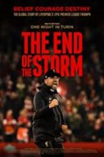 Watch The End of the Storm Zmovies