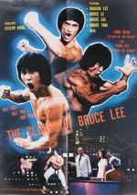 Watch The Clones of Bruce Lee Zmovies