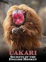 Watch Uakari: Secrets of the English Monkey Zmovies