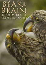 Watch Beak & Brain - Genius Birds from Down Under Zmovies