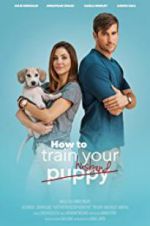 Watch How to Train Your Husband or (How to Pick Your Second Husband First) Zmovies