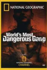 Watch National Geographic World's Most Dangerous Gang Zmovies