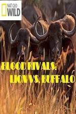 Watch National Geographic - Blood Rivals: Lion vs. Buffalo Zmovies