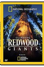 Watch National Geographic Explorer: Climbing Redwood Giants Zmovies