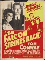 Watch The Falcon Strikes Back Zmovies