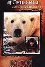 Watch The Polar Bears of Churchill with Ewan McGregor Zmovies