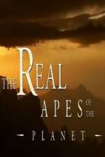 Watch The Real Apes of the Planet Zmovies