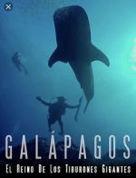 Watch Galapagos: Realm of Giant Sharks Zmovies