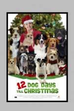 Watch 12 Dog Days of Christmas Zmovies