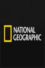 Watch National Geographic Wild Predator CSI Zombie Sealions Zmovies