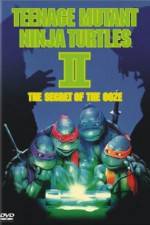 Watch Teenage Mutant Ninja Turtles II: The Secret of the Ooze Zmovies