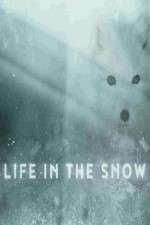 Watch Life in the Snow Zmovies
