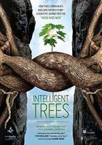 Watch Intelligent Trees Zmovies
