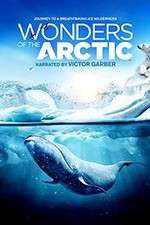 Watch Wonders of the Arctic 3D Zmovies