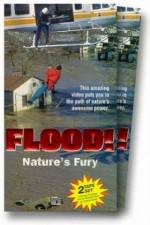 Watch Flood Zmovies