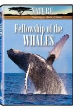Watch Fellowship Of The Whales Zmovies