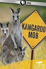 Watch Kangaroo Mob Zmovies