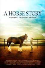 Watch A Horse Story Zmovies