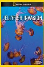 Watch National Geographic: Wild Jellyfish invasion Zmovies
