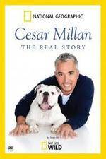 Watch Cesar Millan: The Real Story Zmovies