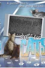 Watch Shorts for Cats Zmovies