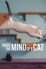 Watch Inside the Mind of a Cat Zmovies