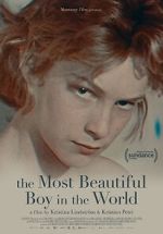 Watch The Most Beautiful Boy in the World Zmovies