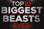 Watch Top 10 Biggest Beasts Ever Zmovies