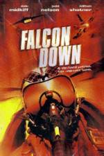 Watch Falcon Down Zmovies