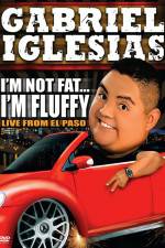 Watch Gabriel Iglesias I'm Not Fat I'm Fluffy Zmovies