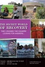 Watch The Secret World of Recovery Zmovies