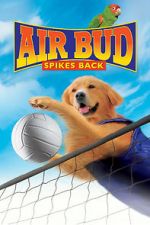 Watch Air Bud: Spikes Back Zmovies