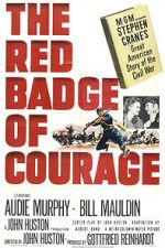 Watch The Red Badge of Courage Zmovies