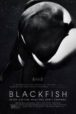 Watch Blackfish Zmovies